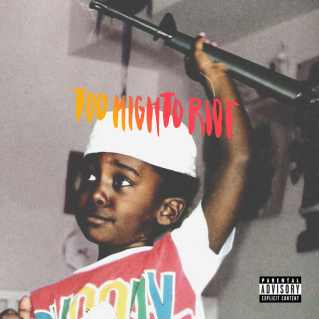 Too High To Riot 2